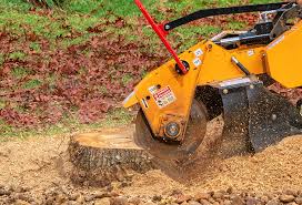 Best Weed Control  in Oreland, PA